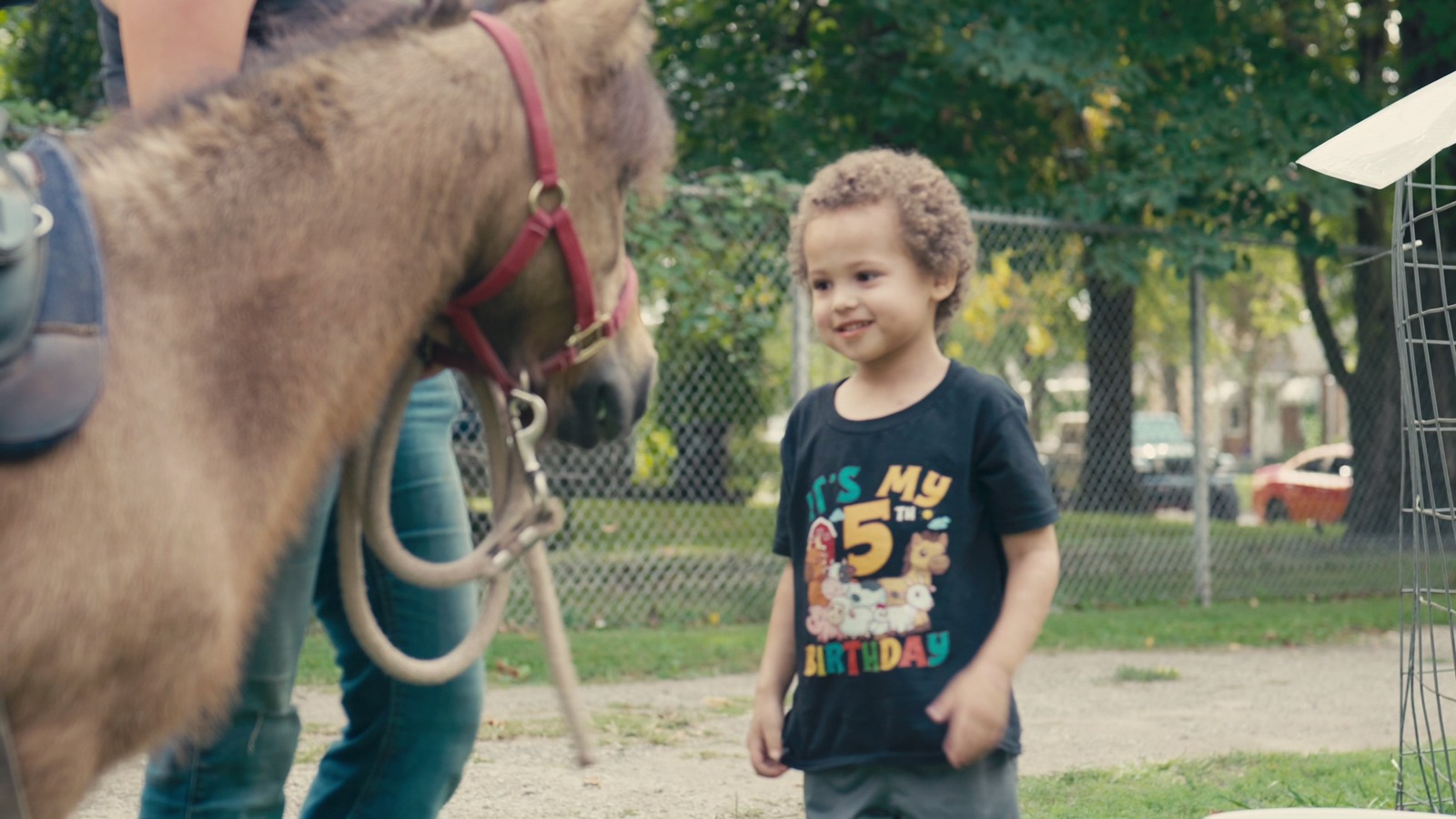 Alexander meeting a pony at his birthday celebration
